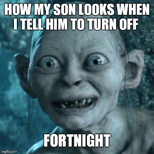 Gollum Meme | HOW MY SON LOOKS WHEN I TELL HIM TO TURN OFF; FORTNIGHT | image tagged in memes,gollum | made w/ Imgflip meme maker