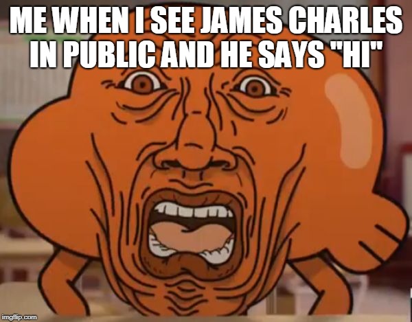 gumball darwin upset | ME WHEN I SEE JAMES CHARLES IN PUBLIC AND HE SAYS "HI" | image tagged in gumball darwin upset | made w/ Imgflip meme maker