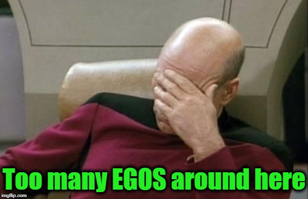 Captain Picard Facepalm Meme | Too many EGOS around here | image tagged in memes,captain picard facepalm | made w/ Imgflip meme maker