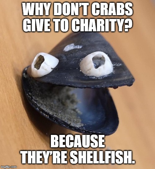 dadjoke mussel | WHY DON’T CRABS GIVE TO CHARITY? BECAUSE THEY’RE SHELLFISH. | image tagged in dadjoke mussel | made w/ Imgflip meme maker