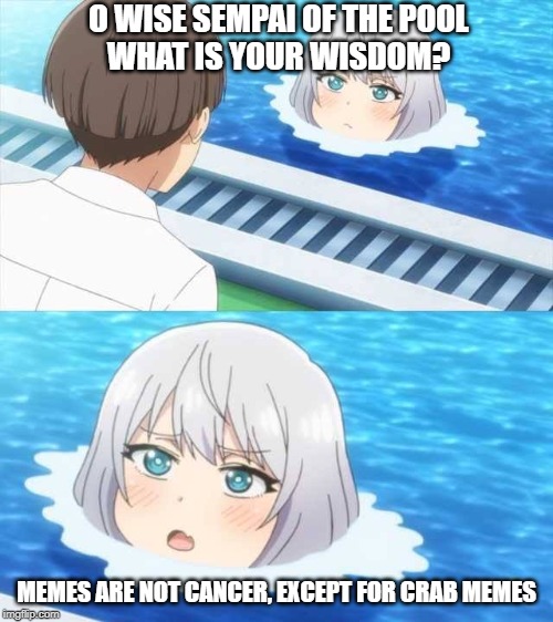 Sempai of the pool on memes | O WISE SEMPAI OF THE POOL
WHAT IS YOUR WISDOM? MEMES ARE NOT CANCER, EXCEPT FOR CRAB MEMES | image tagged in senpai of the pool,memes,memes are cancer,crabs,funny meme | made w/ Imgflip meme maker