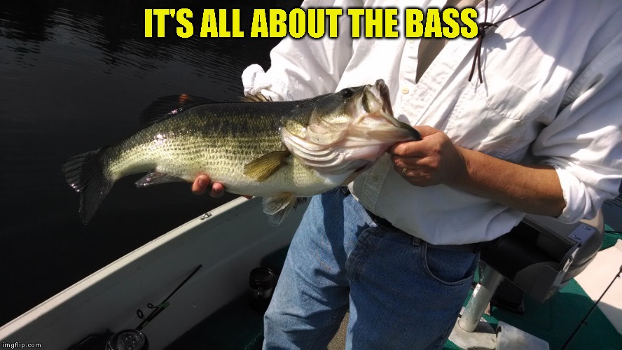 Hi flippers, I'll be here in recreation | IT'S ALL ABOUT THE BASS | image tagged in it was a good day | made w/ Imgflip meme maker