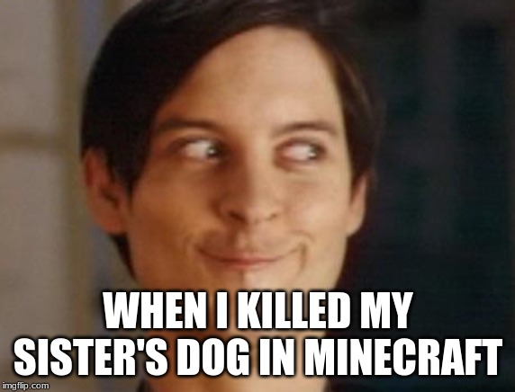 Spiderman Peter Parker | WHEN I KILLED MY SISTER'S DOG IN MINECRAFT | image tagged in memes,spiderman peter parker | made w/ Imgflip meme maker