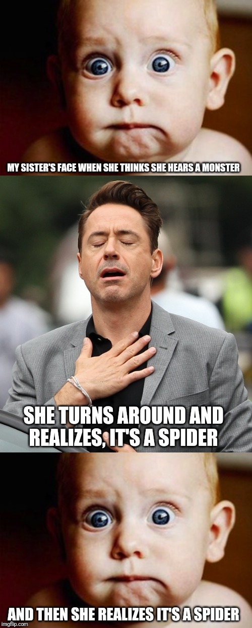 MY SISTER'S FACE WHEN SHE THINKS SHE HEARS A MONSTER; SHE TURNS AROUND AND REALIZES, IT'S A SPIDER; AND THEN SHE REALIZES IT'S A SPIDER | image tagged in relieved rdj,scared face | made w/ Imgflip meme maker