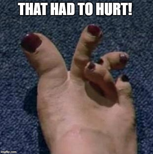 Sister's Toes | THAT HAD TO HURT! | image tagged in sister's toes | made w/ Imgflip meme maker