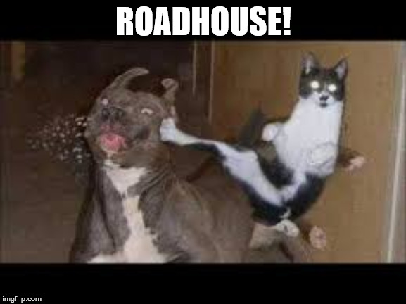 kicking cat | ROADHOUSE! | image tagged in family guy,roadhouse,kicking cat,dogs an cats,funny meme,muddyfingers | made w/ Imgflip meme maker