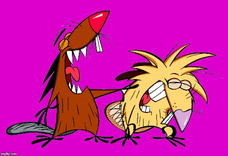 angry beavers | image tagged in angry beavers | made w/ Imgflip meme maker