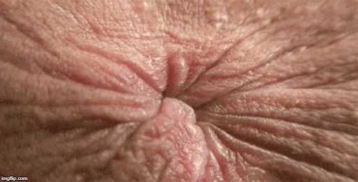 Butt hole | image tagged in butt hole | made w/ Imgflip meme maker
