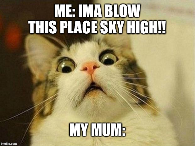 Mums need to listen | ME: IMA BLOW THIS PLACE SKY HIGH!! MY MUM: | image tagged in memes,scared cat | made w/ Imgflip meme maker