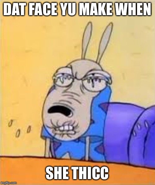 rocko sour face | DAT FACE YU MAKE WHEN; SHE THICC | image tagged in rocko sour face | made w/ Imgflip meme maker