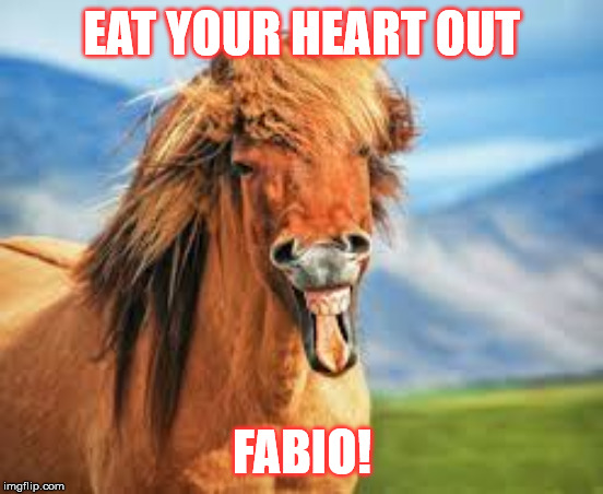 Eat your heart out Fabio! | EAT YOUR HEART OUT; FABIO! | image tagged in funny memes,funny horse,good hair,horses | made w/ Imgflip meme maker