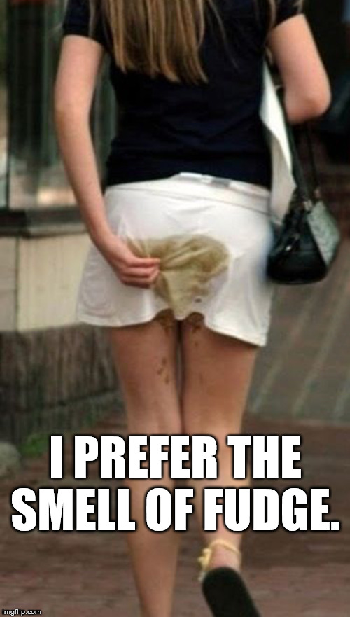 I think she sat in fudge | I PREFER THE SMELL OF FUDGE. | image tagged in never trust a fart | made w/ Imgflip meme maker