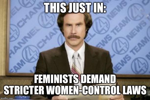 Ron Burgundy Meme | THIS JUST IN: FEMINISTS DEMAND STRICTER WOMEN-CONTROL LAWS | image tagged in memes,ron burgundy | made w/ Imgflip meme maker