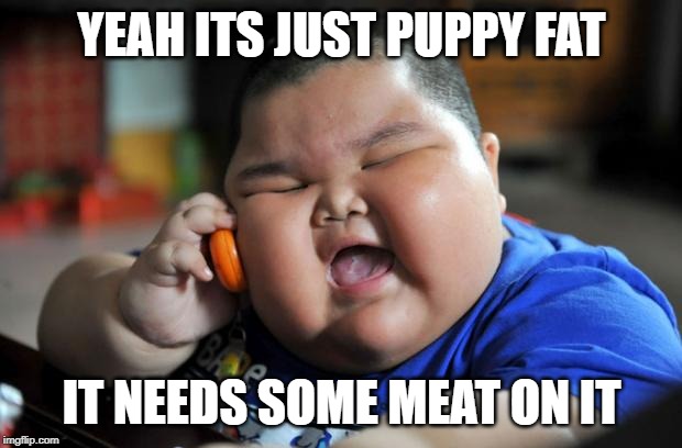 Fat Asian Kid | YEAH ITS JUST PUPPY FAT IT NEEDS SOME MEAT ON IT | image tagged in fat asian kid | made w/ Imgflip meme maker