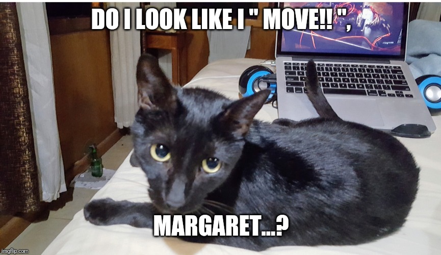 The Inimitable Jinx | DO I LOOK LIKE I " MOVE!! ", MARGARET...? | image tagged in the inimitable jinx | made w/ Imgflip meme maker