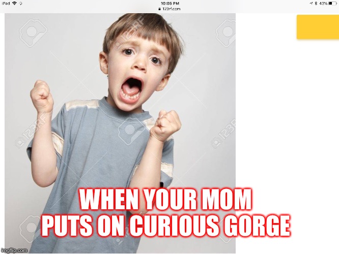 Mom changes channel | WHEN YOUR MOM PUTS ON CURIOUS GORGE | image tagged in funny memes | made w/ Imgflip meme maker