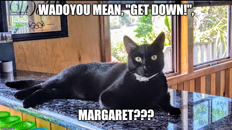 The Inimitable Jinx | WADOYOU MEAN, "GET DOWN!", MARGARET??? | image tagged in the inimitable jinx | made w/ Imgflip meme maker