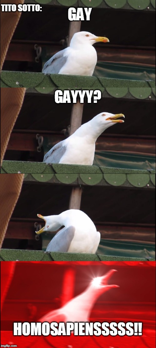 Inhaling Seagull | TITO SOTTO:; GAY; GAYYY? HOMOSAPIENSSSSS!! | image tagged in memes,inhaling seagull | made w/ Imgflip meme maker