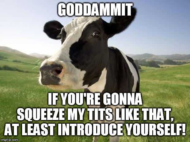 cow | GODDAMMIT IF YOU'RE GONNA SQUEEZE MY TITS LIKE THAT, AT LEAST INTRODUCE YOURSELF! | image tagged in cow | made w/ Imgflip meme maker