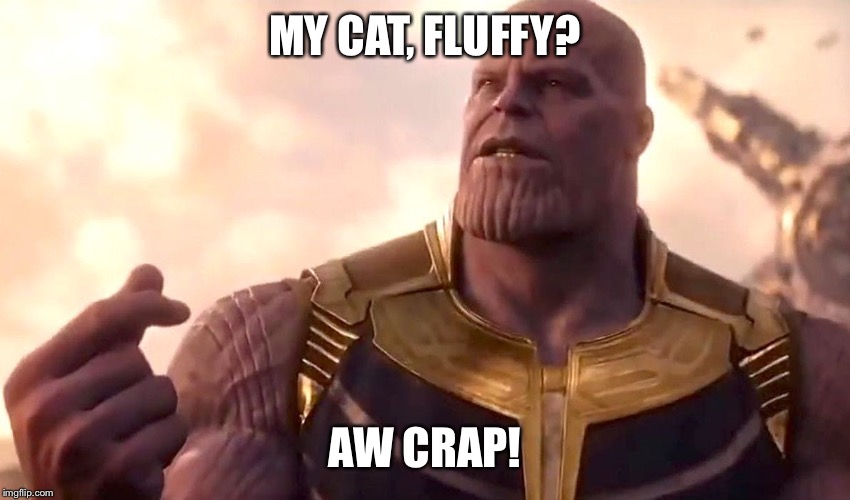 thanos snap | MY CAT, FLUFFY? AW CRAP! | image tagged in thanos snap | made w/ Imgflip meme maker