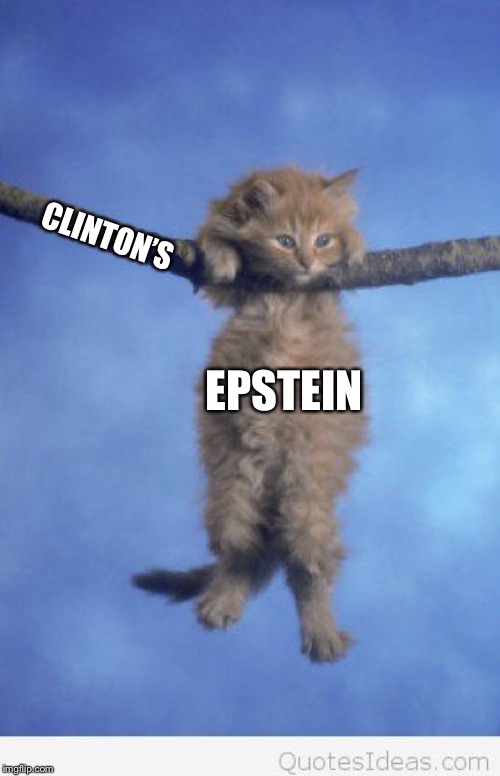 Hang in there | CLINTON’S; EPSTEIN | image tagged in hang in there | made w/ Imgflip meme maker