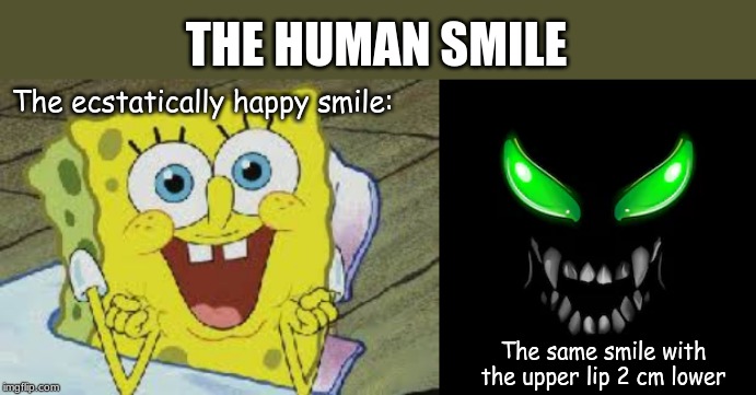 What's scarier than turning a shower knob 2 cm to the left? | THE HUMAN SMILE; The ecstatically happy smile:; The same smile with the upper lip 2 cm lower | image tagged in memes,reddit | made w/ Imgflip meme maker