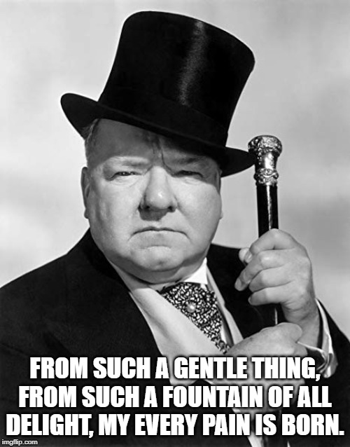 W.C. Fields | FROM SUCH A GENTLE THING, FROM SUCH A FOUNTAIN OF ALL DELIGHT, MY EVERY PAIN IS BORN. | image tagged in quotes | made w/ Imgflip meme maker