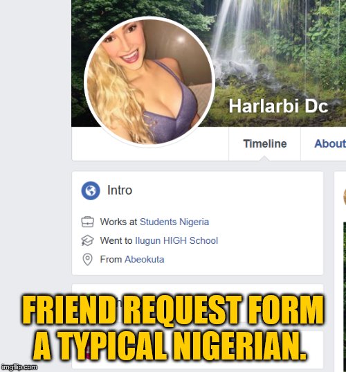 Typical Nigerian | FRIEND REQUEST FORM A TYPICAL NIGERIAN. | image tagged in nigeria | made w/ Imgflip meme maker