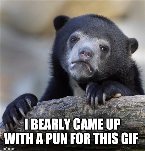 Confession Bear Meme | I BEARLY CAME UP WITH A PUN FOR THIS GIF | image tagged in memes,confession bear | made w/ Imgflip meme maker