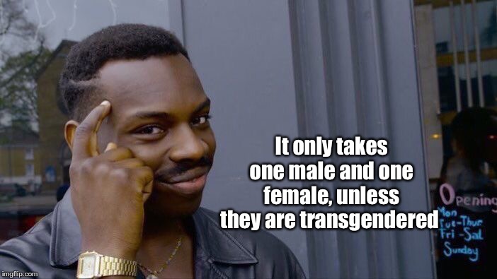 Roll Safe Think About It Meme | It only takes one male and one female, unless they are transgendered | image tagged in memes,roll safe think about it | made w/ Imgflip meme maker