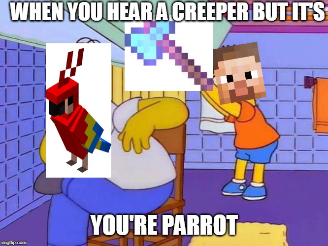Minecraft Meme | WHEN YOU HEAR A CREEPER BUT IT'S; YOU'RE PARROT | image tagged in minecraft | made w/ Imgflip meme maker