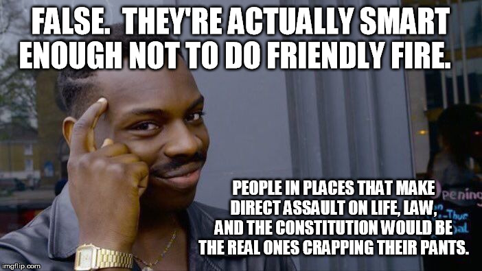 Roll Safe Think About It Meme | FALSE.  THEY'RE ACTUALLY SMART ENOUGH NOT TO DO FRIENDLY FIRE. PEOPLE IN PLACES THAT MAKE DIRECT ASSAULT ON LIFE, LAW, AND THE CONSTITUTION  | image tagged in memes,roll safe think about it | made w/ Imgflip meme maker