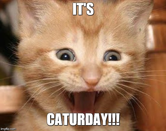 Excited Cat Meme | IT'S CATURDAY!!! | image tagged in memes,excited cat | made w/ Imgflip meme maker