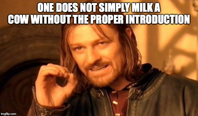 One Does Not Simply Meme | ONE DOES NOT SIMPLY MILK A COW WITHOUT THE PROPER INTRODUCTION | image tagged in memes,one does not simply | made w/ Imgflip meme maker