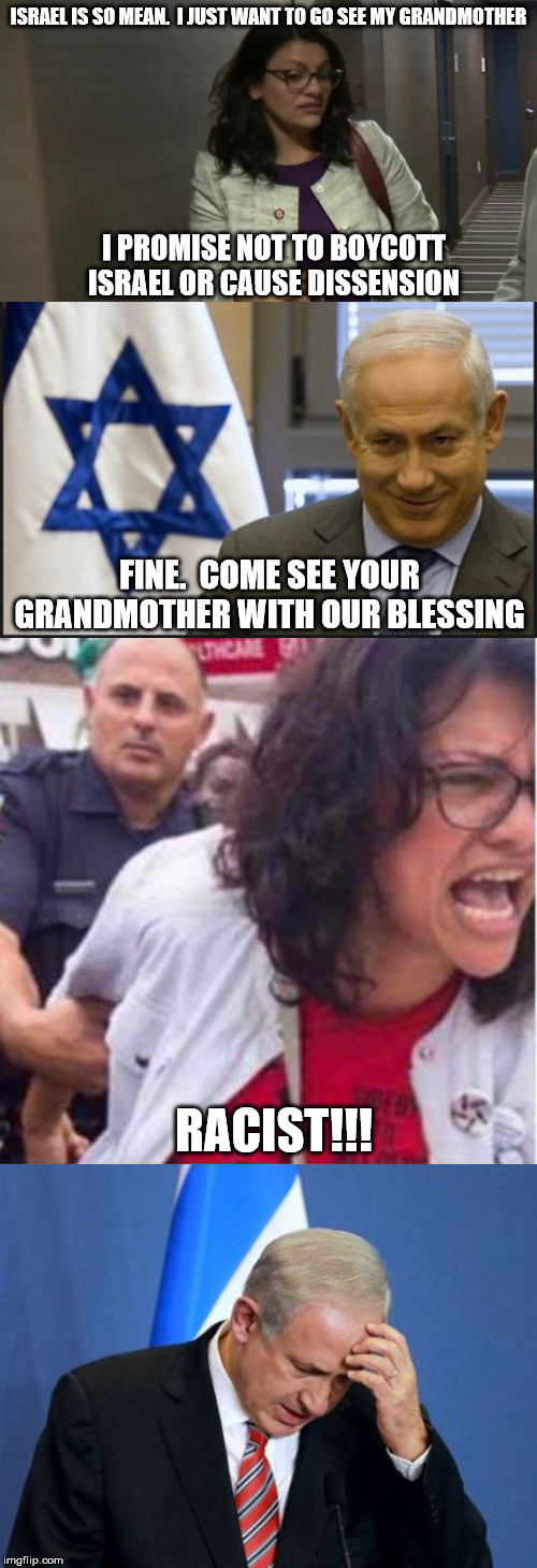 The Tlaib Scam in a nutshell... | ISRAEL IS SO MEAN.  I JUST WANT TO GO SEE MY GRANDMOTHER; I PROMISE NOT TO BOYCOTT ISRAEL OR CAUSE DISSENSION; FINE.  COME SEE YOUR GRANDMOTHER WITH OUR BLESSING; RACIST!!! | image tagged in netanyahu,israel netanyahu,rashida tlaib,congresswoman and criminal rashida harbi tlaib | made w/ Imgflip meme maker