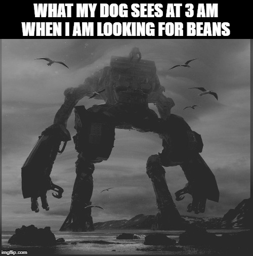 WHAT MY DOG SEES AT 3 AM WHEN I AM LOOKING FOR BEANS | image tagged in memes,dr evil laser | made w/ Imgflip meme maker