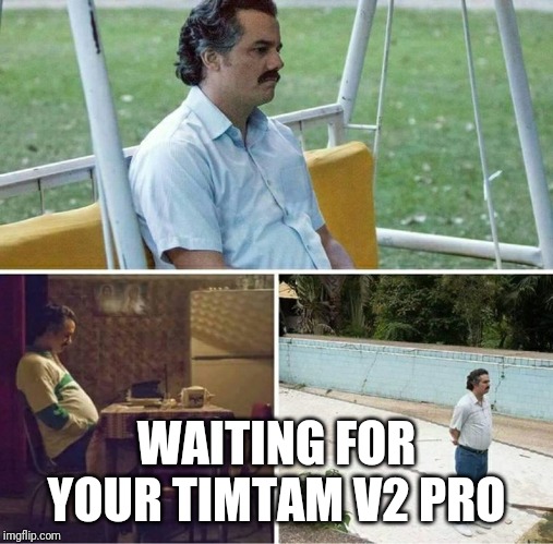 Forever alone | WAITING FOR YOUR TIMTAM V2 PRO | image tagged in forever alone | made w/ Imgflip meme maker