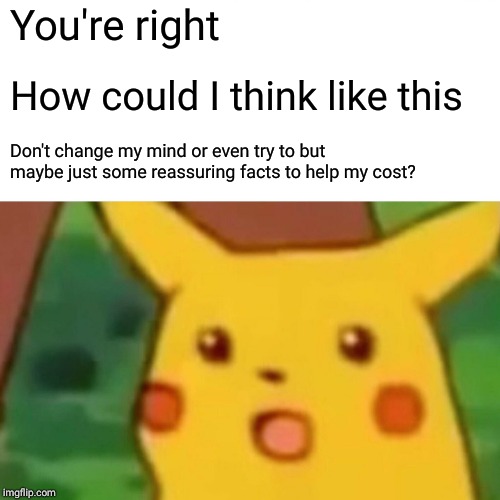 Surprised Pikachu Meme | You're right How could I think like this Don't change my mind or even try to but maybe just some reassuring facts to help my cost? | image tagged in memes,surprised pikachu | made w/ Imgflip meme maker