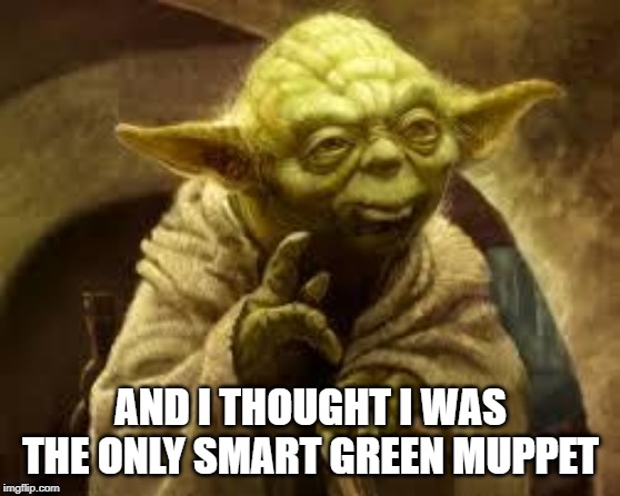 yoda | AND I THOUGHT I WAS THE ONLY SMART GREEN MUPPET | image tagged in yoda | made w/ Imgflip meme maker