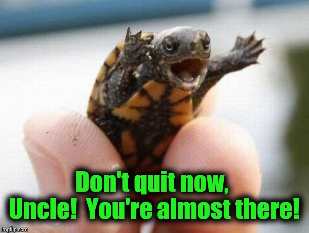 happy baby turtle | Don't quit now,  Uncle!  You're almost there! | image tagged in happy baby turtle | made w/ Imgflip meme maker