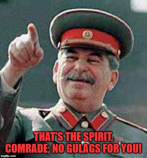 Stalin says | THAT'S THE SPIRIT, COMRADE; NO GULAGS FOR YOU! | image tagged in stalin says | made w/ Imgflip meme maker