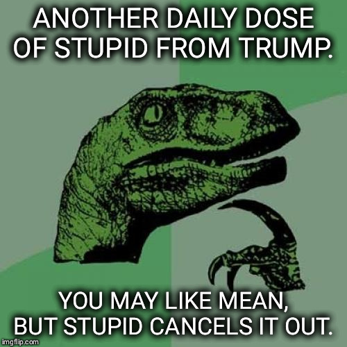 Does "incompetent" count? | ANOTHER DAILY DOSE OF STUPID FROM TRUMP. YOU MAY LIKE MEAN, BUT STUPID CANCELS IT OUT. | image tagged in memes,philosoraptor,trump,mean,stupid | made w/ Imgflip meme maker