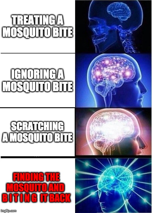 How to Properly Deal With Mosquito Bites | TREATING A MOSQUITO BITE; IGNORING A MOSQUITO BITE; SCRATCHING A MOSQUITO BITE; FINDING THE MOSQUITO AND 
B I T I N G  IT BACK | image tagged in memes,expanding brain,funny,bite,mosquito,insect | made w/ Imgflip meme maker