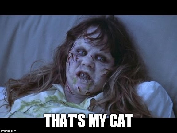 the Exorcist | THAT'S MY CAT | image tagged in the exorcist | made w/ Imgflip meme maker