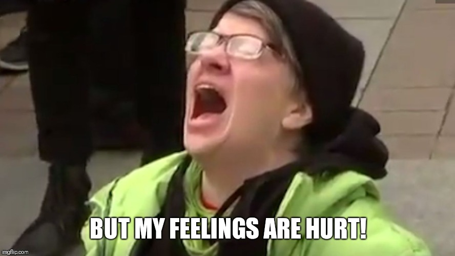 Screaming Liberal  | BUT MY FEELINGS ARE HURT! | image tagged in screaming liberal | made w/ Imgflip meme maker