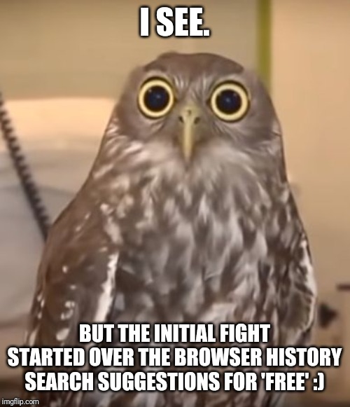 owl-big-eyes | I SEE. BUT THE INITIAL FIGHT STARTED OVER THE BROWSER HISTORY SEARCH SUGGESTIONS FOR 'FREE' :) | image tagged in owl-big-eyes | made w/ Imgflip meme maker