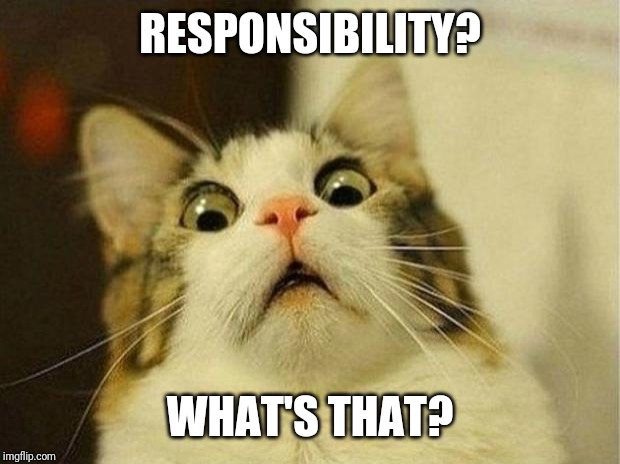 Scared Cat Meme | RESPONSIBILITY? WHAT'S THAT? | image tagged in memes,scared cat | made w/ Imgflip meme maker