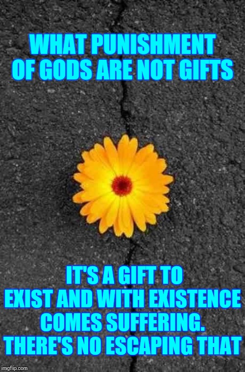 Sound of Silence | WHAT PUNISHMENT OF GODS ARE NOT GIFTS; IT'S A GIFT TO EXIST AND WITH EXISTENCE COMES SUFFERING. THERE'S NO ESCAPING THAT | image tagged in flower in concrete,death,sorrow,memes,grief,real life | made w/ Imgflip meme maker