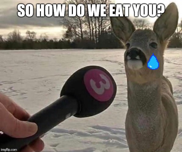 bambi | SO HOW DO WE EAT YOU? | image tagged in bambi | made w/ Imgflip meme maker