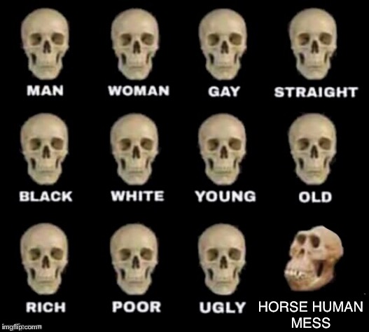 idiot skull | HORSE HUMAN
MESS | image tagged in idiot skull | made w/ Imgflip meme maker